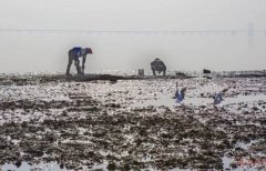 厲害了wuli青島！厲害了wuli紅島?。? /></a></div>
        <div   id=