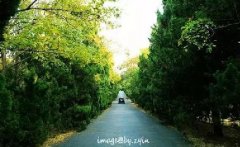 5月的5個好消息你一定要知道