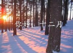 抓住2016年的尾巴給自己充充電！12月，加油！